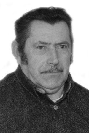 wiesaw patyk po.jpg