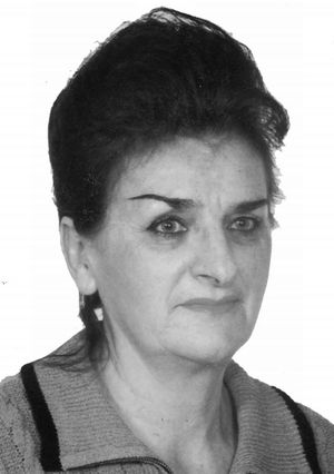 mdel 1.jpg