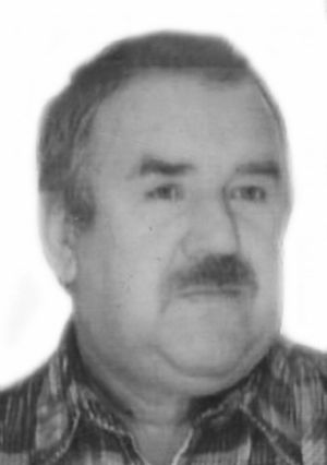 majewski 2.jpg