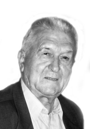 sowa 1.jpg