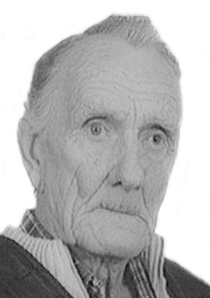 jzef koj.jpg